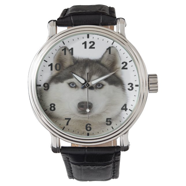 Relógios legal, divertidos, divertidos e fofos