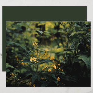 Relvado verde escuro, papel de foto Scrapbook para