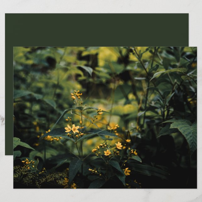 Relvado verde escuro, papel de foto Scrapbook para (Frente/Verso)