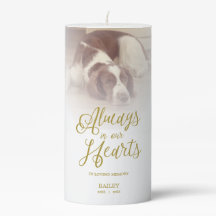 Remember Dog Beloved One Pet Passed Away