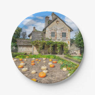 Remendo de abóbora e prato de papel de casa de faz