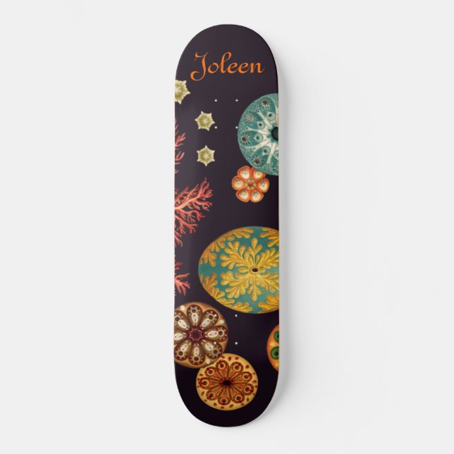Remix de Skateboard Sea Squirt (Frente)