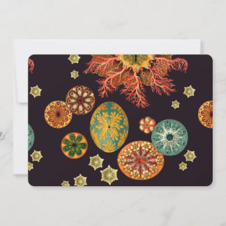 Remix do Esguicho do Mar