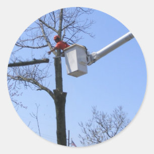 Remoção de Árvore ~ adesivo