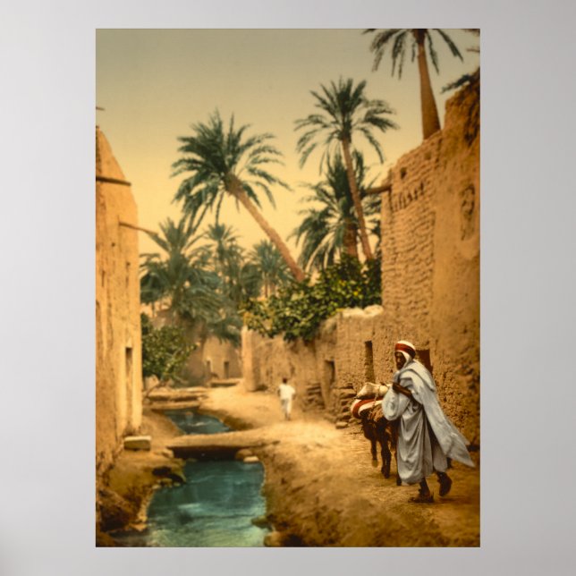 Representação Whimsical de Biskra Argélia Poster (Frente)