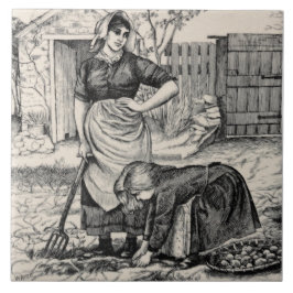 Repro Wim Wise Country Village Life Potato Harvest