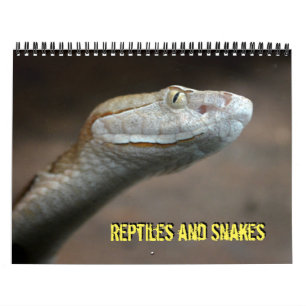 Répteis e Calendário de Cobras