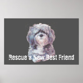 Rescue Dog Poster