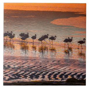 Reserva Nacional da Fauna Andina Eduardo Abaroa