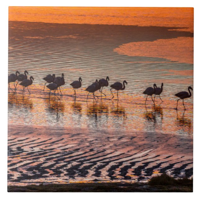 Reserva Nacional de Fauna Andina Eduardo Abaroa (Frente)