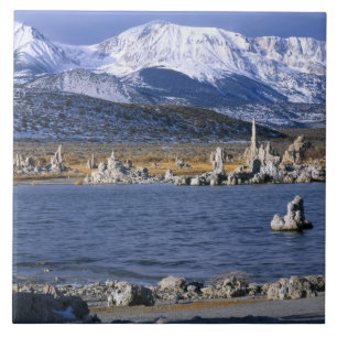 RESERVA NATURAL ESTADUAL DE TUFA DO LAGO MONO,
