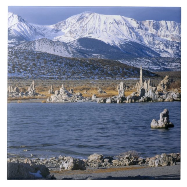 RESERVA NATURAL ESTADUAL DE TUFA DO LAGO MONO, (Frente)