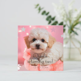 Reserve A Data Aniversário do Cachorro Vamos Fazer uma Festa
