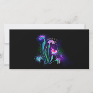 Reserve A Data Armando Venus Flytrap