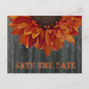 Reserve A Data Barnwood & Sunflower Casamento outono Salvar Data