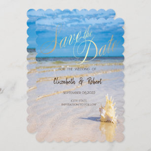 Reserve A Data Beach Waves Seashell A Data