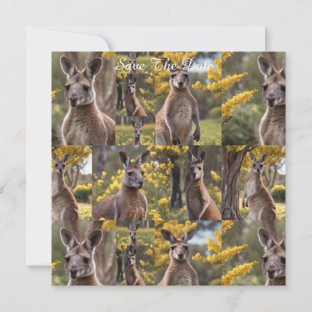 Reserve A Data Beleza de Outback: Colagem de Fotos Kangaroo E Wat (Frente)