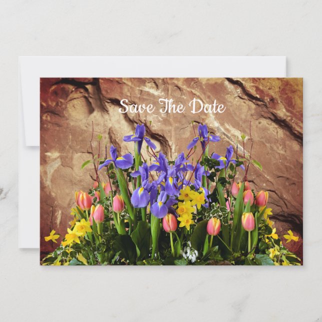 Reserve A Data Birthday Flat Save The Date Card (Frente)
