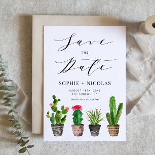 Reserve A Data Boho Potted Succulents and Cactus Summer