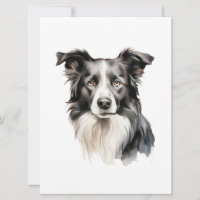 Borda Collie art Fronteira Collie impressão Border