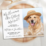 Reserve A Data Cão de Pet Personalizado Personalizado do Casament<br><div class="desc">Deixe o seu melhor cachorro anunciar seu casamento com este super fofo cartões salve a data de cães de estimação 'Meus Humanos se Casam'. Personalize com sua foto favorita e personalize com nomes, data e local do casamento. COPYRIGHT © 2020 Judy Burrows, Black Dog Art - Todos Os Direitos Reservados....</div>