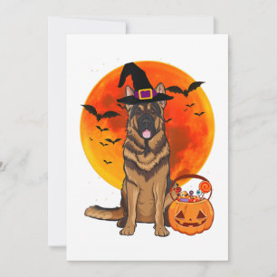 Reserve A Data Cão German shepherd de Halloween Jack Lanterna Pum