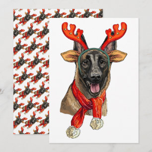 Reserve A Data Cão Malinois Natal