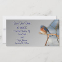 Casamento bonito de Bluebird