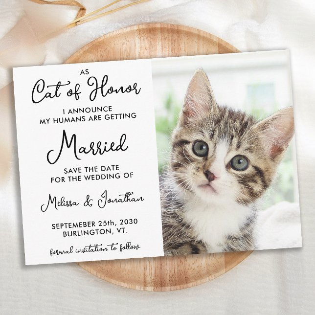 Reserve A Data Casamento Casual de Foto Pet Personalizada do Cat  (Criador carregado)