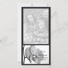 Reserve A Data Casamento com Orquídea Branca Salvar a Data