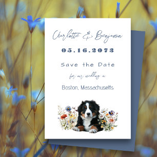 Reserve A Data Casamento de Cachorro da Montanha Bernese Salve a 