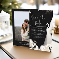 Casamento de Diversão de Nuvem da Feather Asian Sk