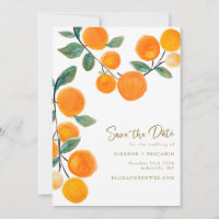 Casamento de Frutas de Citros Laranja Aquarela