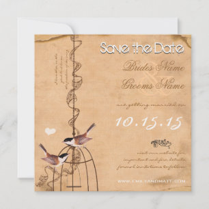 Reserve A Data Casamento de Gaiola de Pássaro Damask Foto de Pêss