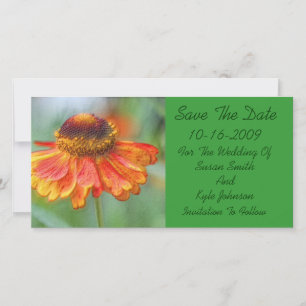 Reserve A Data Casamento De Laranja Daisy Floral Salvar A Data