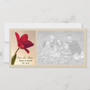 Reserve A Data Casamento de Tulipas Vermelhas Elegante Salvar a D