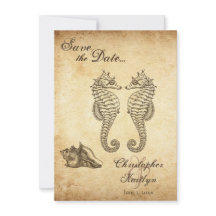 Casamento de Vintage e Conch Shell Beach