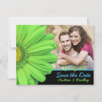 Casamento Fotográfico verde-azul-Gerbera Daisy