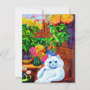 Reserve A Data Cat College Master