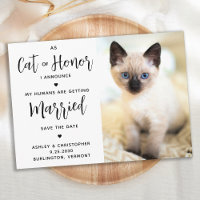 Cat of Honor