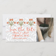 Coleção de Pintura Vintage Tulip Morris