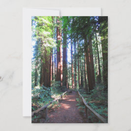 Reserve A Data Design de Trilha de Sequoia