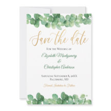 Eucalyptus deixa Dourada tendência verde elegante