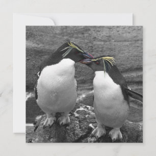 Reserve A Data Explosão de Cor de Pinguim