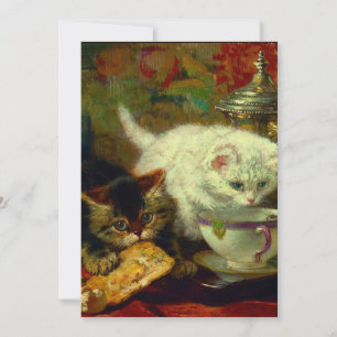 Reserve A Data Festa de Tea Kittens