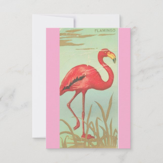 Reserve A Data Flamingo Antigo (Frente)