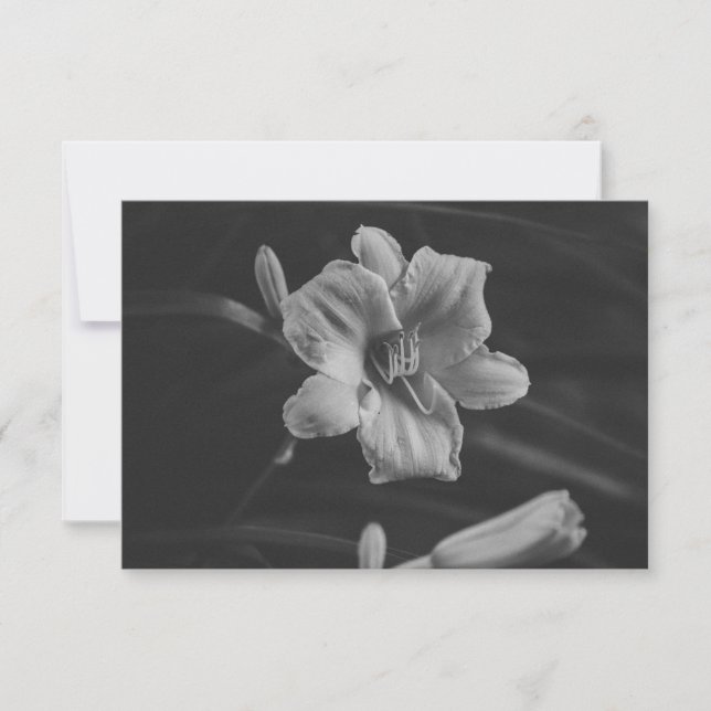 Reserve A Data Floral Noir (Frente)