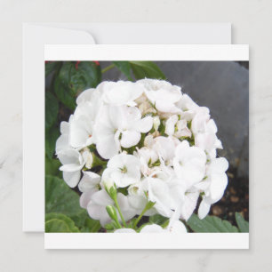 Reserve A Data Flores Brancas Espelhantes Casamento