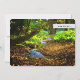Reserve A Data Floresta Creek Belo Paisagem Natural Foto