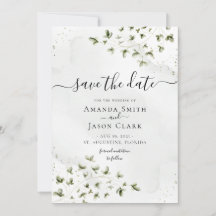 Folhagem Verde Botânico Salvia Rústica Com Foto